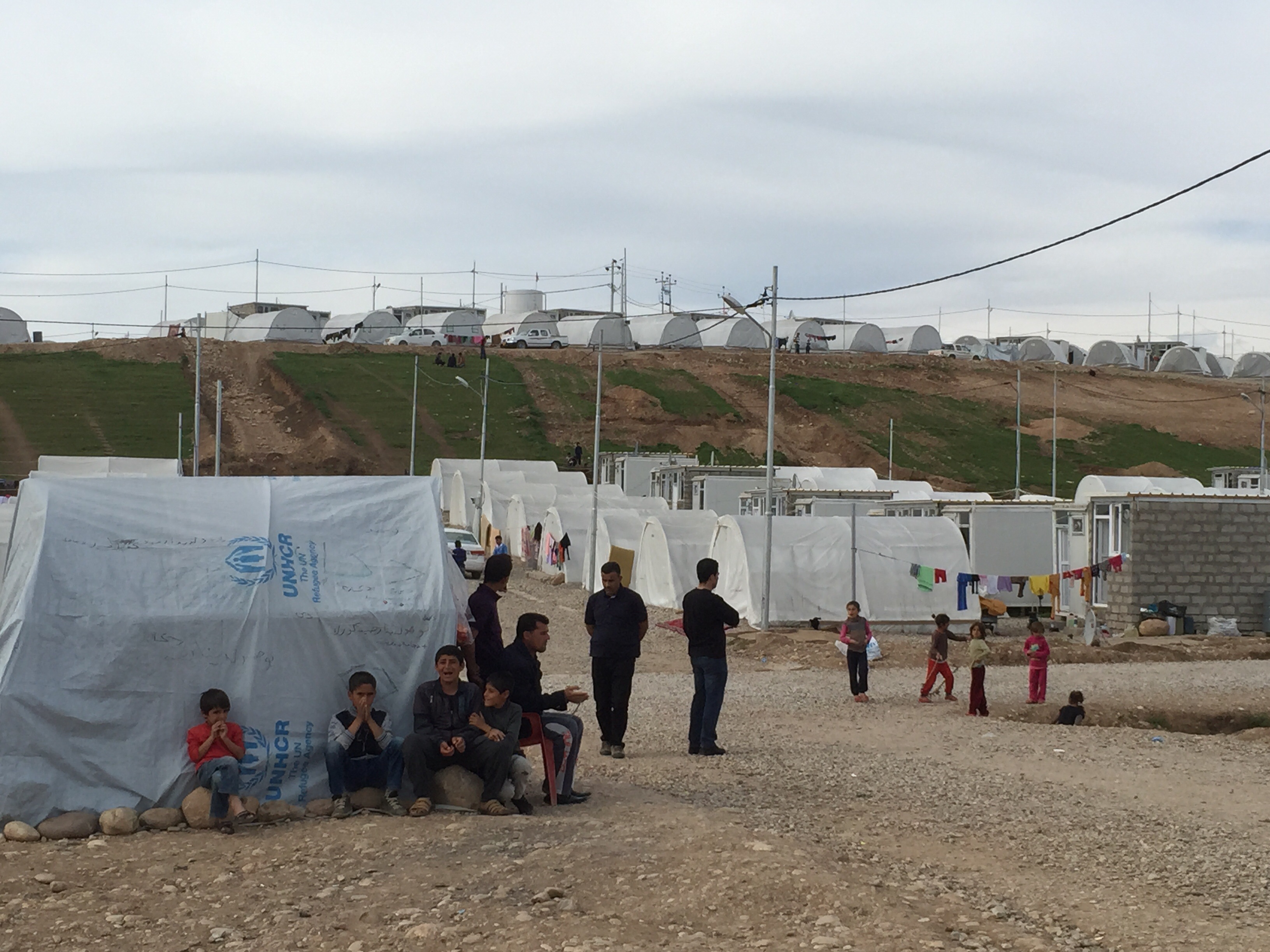 Refugee/IDP Emergency Relief Seed Foundation Kurdistan